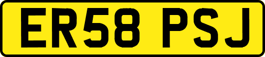 ER58PSJ