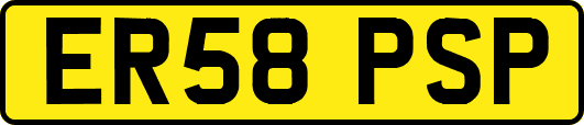 ER58PSP