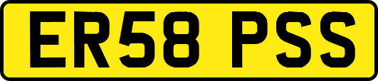 ER58PSS