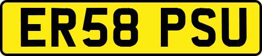 ER58PSU