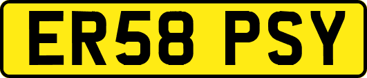 ER58PSY