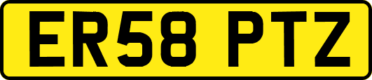 ER58PTZ