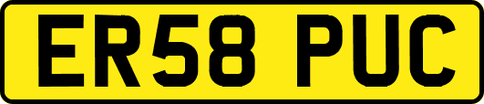 ER58PUC