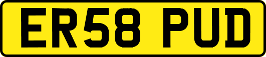 ER58PUD