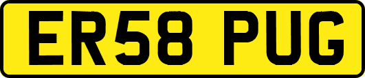 ER58PUG