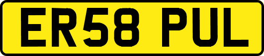 ER58PUL
