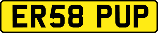 ER58PUP