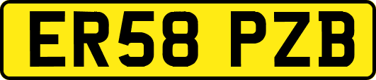 ER58PZB