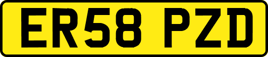 ER58PZD
