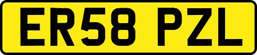 ER58PZL