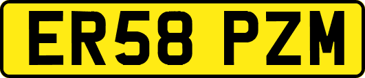 ER58PZM