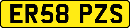 ER58PZS