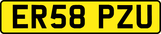 ER58PZU