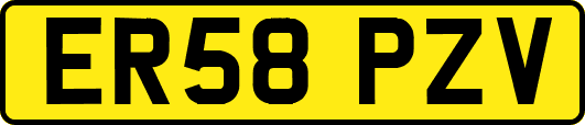 ER58PZV