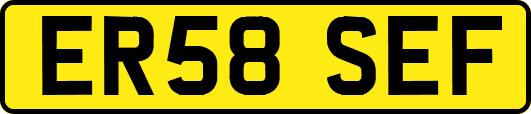 ER58SEF