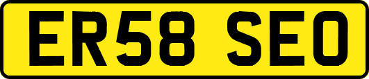 ER58SEO