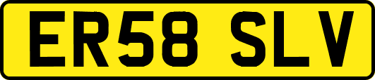 ER58SLV