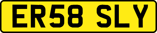 ER58SLY