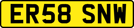 ER58SNW