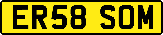 ER58SOM