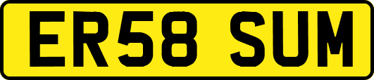 ER58SUM