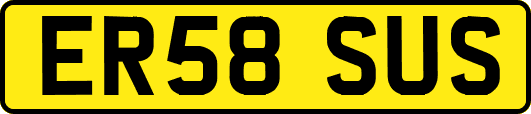 ER58SUS