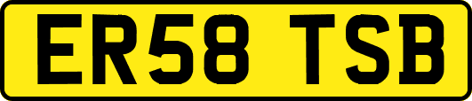 ER58TSB