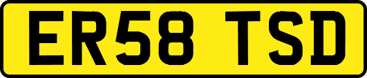 ER58TSD