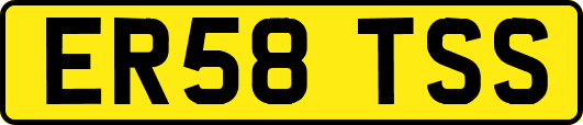ER58TSS