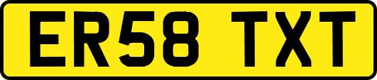 ER58TXT