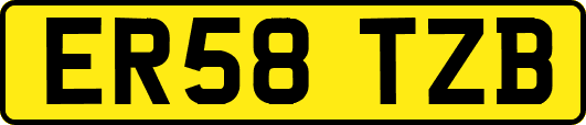 ER58TZB