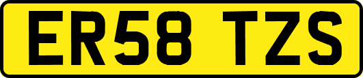 ER58TZS