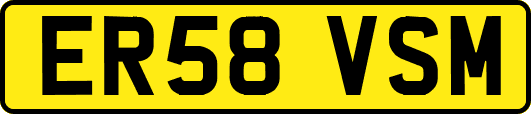 ER58VSM