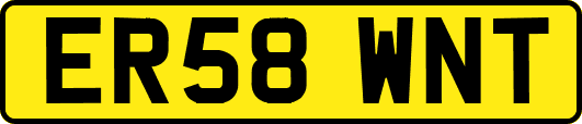 ER58WNT