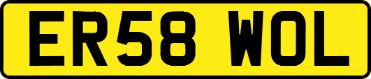 ER58WOL