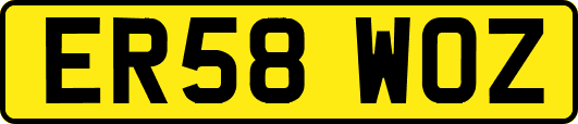 ER58WOZ