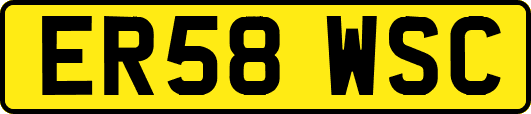 ER58WSC