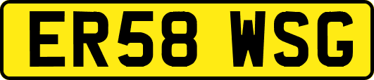 ER58WSG