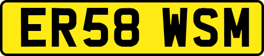 ER58WSM