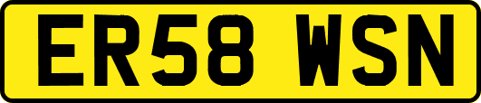 ER58WSN