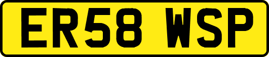 ER58WSP