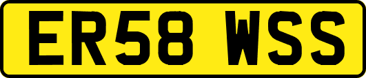 ER58WSS