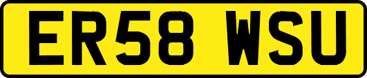 ER58WSU