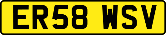 ER58WSV