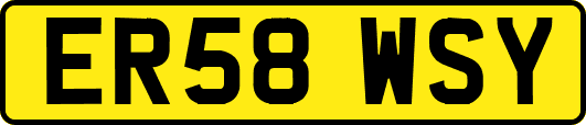 ER58WSY