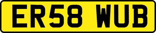 ER58WUB