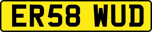 ER58WUD