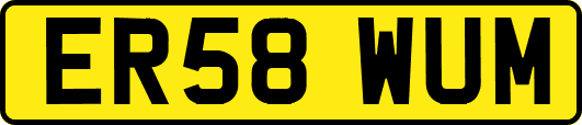 ER58WUM