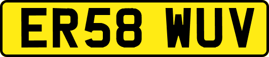 ER58WUV