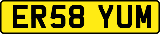 ER58YUM